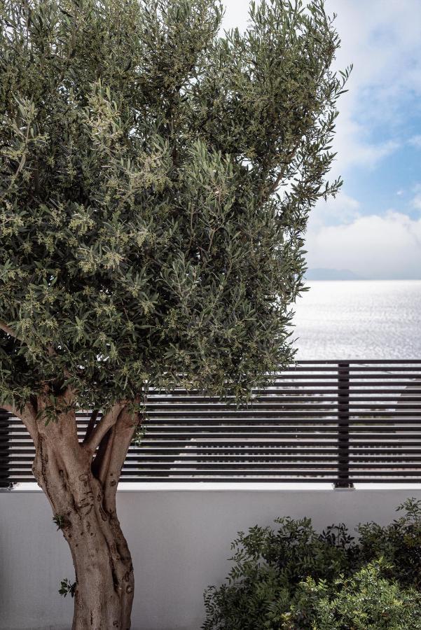 Black Stone Villa Σούνιο Εξωτερικό φωτογραφία